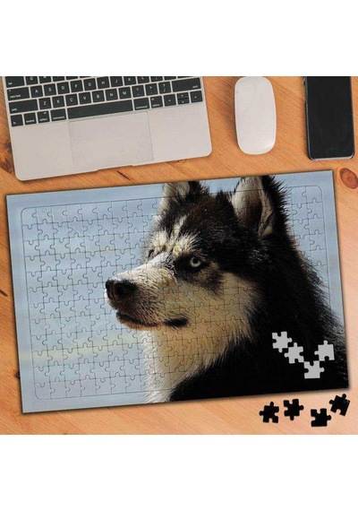 Sibirya Kurdu 240 Parça Puzzle Yapboz-3380550