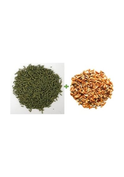 Turtle 100 Ml + Gammarus 100 Ml Kaplumbağa Ve Sürüngen Yemi