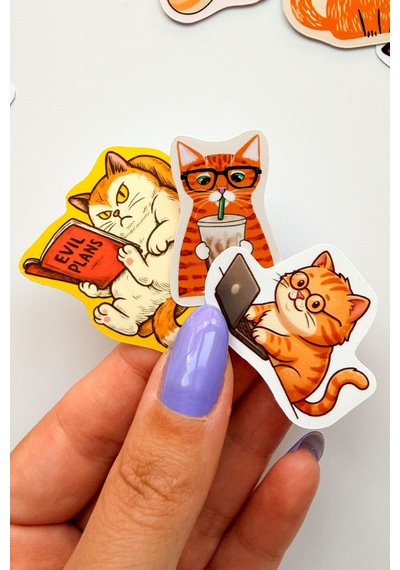 Turuncu Kediler 27 Parça Sticker Paketi Suya Dayanıklı Ajanda Laptop Termos Telefon Etiket Seti
