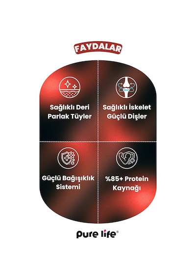 Purelife Prime Biftekli Yetişkin Köpek Maması 15 KG