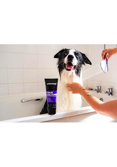 True Colors Renk Koruyucu Köpek Şampuanı 250 Ml