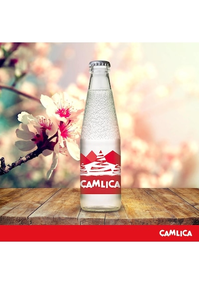 Çamlıca Limon Aromalı Gazoz 200 Ml X 24 Adet