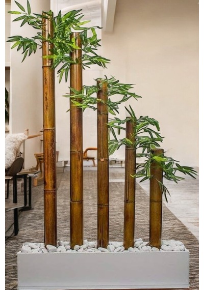 50 Cm Beyaz Mdf Saksıda Simetrik 5 Bambulu Seperatör Yeşil