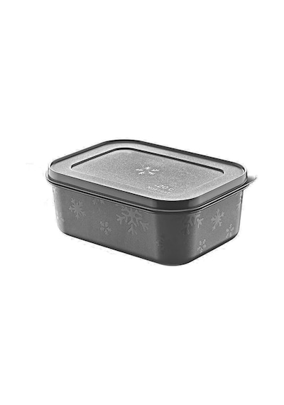 Ayrex No Frost Silikon Yumuşak Kapalı Saklama Kabı Dondurucu Ve Buzluk Saklama Kabı 675ml, Kapaklı No Frost Saklama Diğer