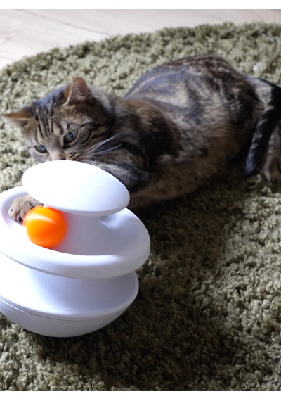 Buradabulabilirsin 3d Baskı İki Toplu Kedi Oyuncağı Kule Etkileşimli Kedi Oyun Kulesi Toplu Parkur - Beyaz Bbz