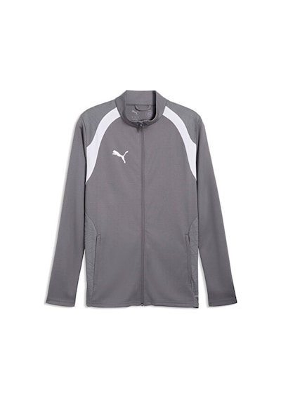 Puma Teamfinal26 Training Jacket Erkek Futbol Kamp Ceketi 65968213 Gri