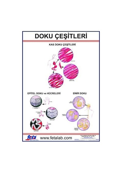 Doku Levhası 70X100 EBATLARINDA