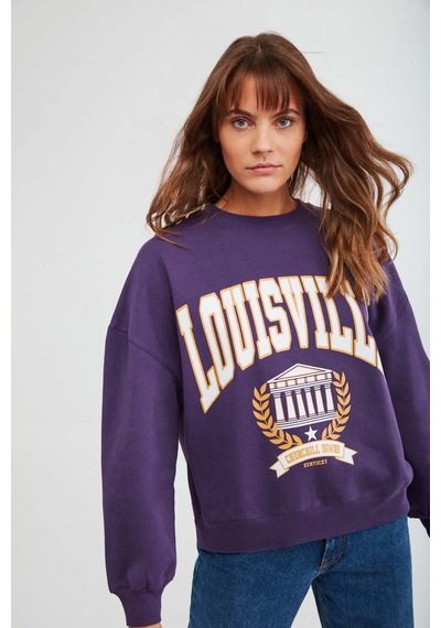 ETHIQUET RA ONA Kadın Oversize Yumuşacık İçi Polarlı Organik Pamuklu Baskılı Yuvarlak Yakalı or Sweatshirt
