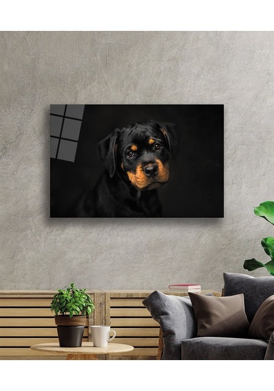 Köpek 6 Cam Tablo