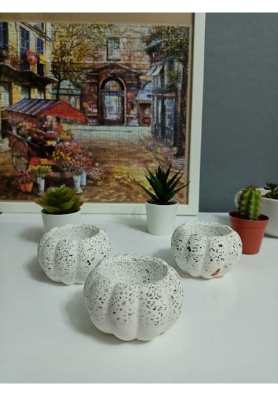 3'lü Sukulent Ve Kaktüs Saksısı Doğal Çakıl Taşı Süslemeli