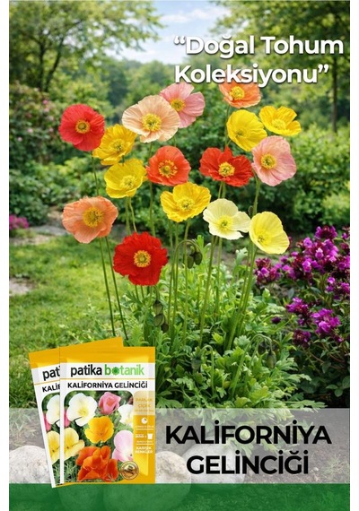 100 Adet Kaliforniya Gelinciği Çiçek Tohumu (Eschscholzia californica)