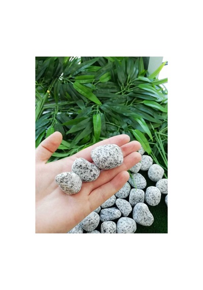 Ekodoğa Granit Dolomit Taş 25 Kg 2 5 4 Cm Siyah Beyaz Dekoratif Bahçe Taşı Dekor Sku: Smgstk44404cc5b2