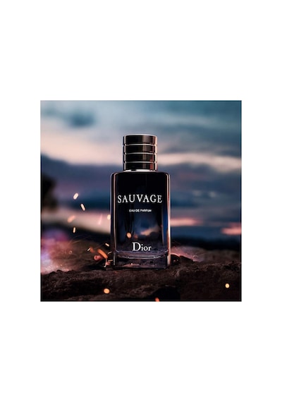 Christian Sauvage Edp 100 Ml Erkek Parfüm 1 Paket 1 X 100 Ml Diğer