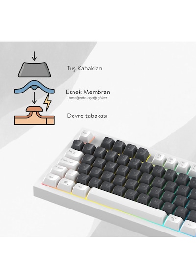 Everest Kb-98 Sılent Tkl Gri Mavi/beyaz Rainbow Q Membrane Klavye