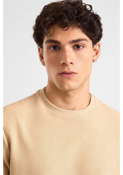 Süvari Bej Regular Melanjlı Baskısız Waffle Bisiklet Yaka Cepsiz Düz Sweatshirt Sw2013700027-bj3 Süvari Bej Regular Melanjlı Baskısız Waffle Bisiklet Yaka Cepsiz Düz Sweatshirt Sw2013700027-bj3