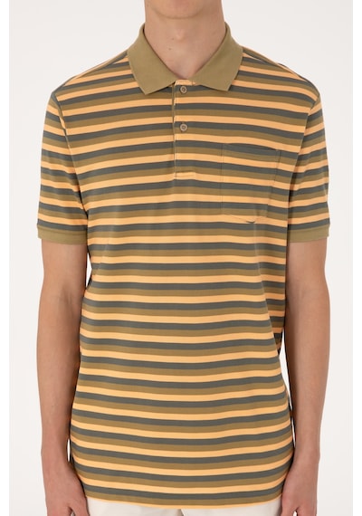 U.S. Polo Assn. Erkek Regular Fit Haki Polo Yaka Çizgili Tişört 50306794-VR027