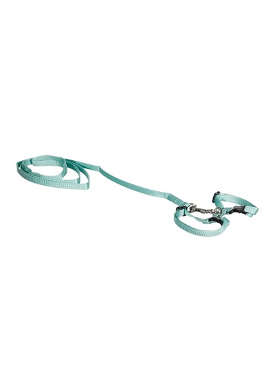 Pawise Kedi Göğüs T. 14.5-25/18-30cm Yeşil-mavi S