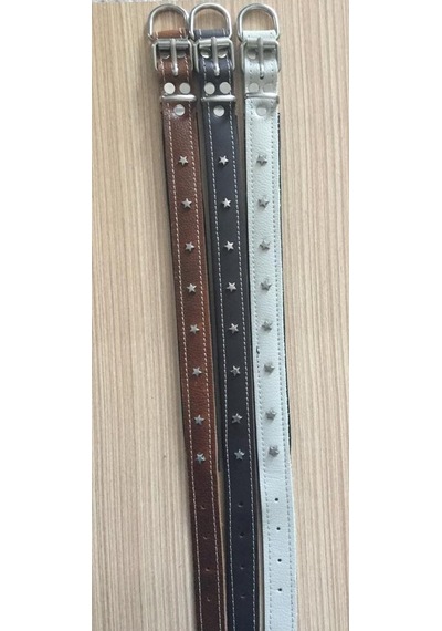Atlantik Yıldızlı Köpek Boyun Tasması Kahverengi 2.5 x 55 CM Kahverengi