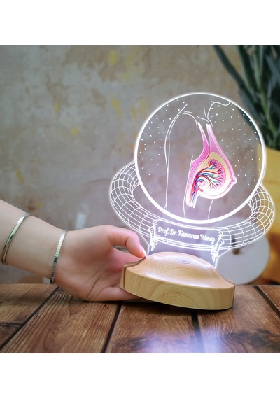 Estetik Cerrahı Doktoruna Hediye Kişiye Özel Meme Anatomisi 3d Led Lamba - Plastik Cerrah Doktoruna Ofis, Klinik Dekoru Hediyesi