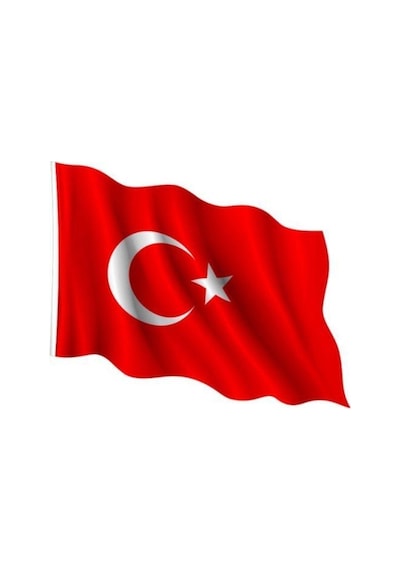 Türk Bayrağı 50x75 Cm 2008 Diğer