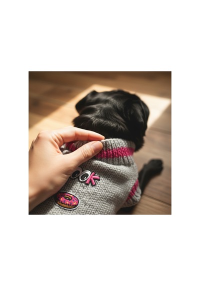 Kedi Ve Köpek İçin Donut'lı Gri Kazak