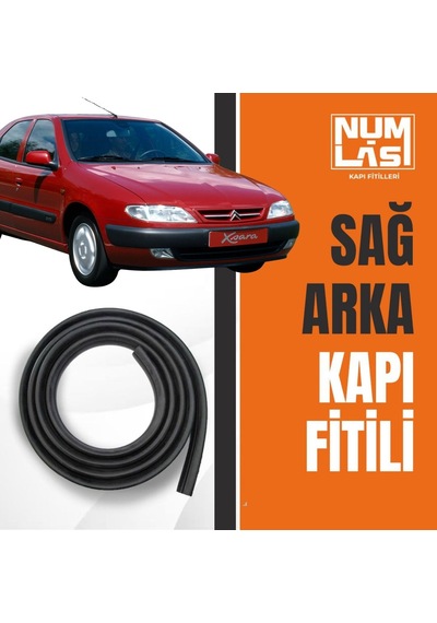 Citroen Xsara 1997-2001 Sağ Arka Kapı Fitili-a Kalite-numlas-nm3425