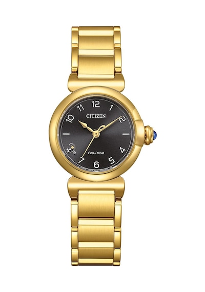Citizen Em1132-88h Kadın Kol Saati Altın