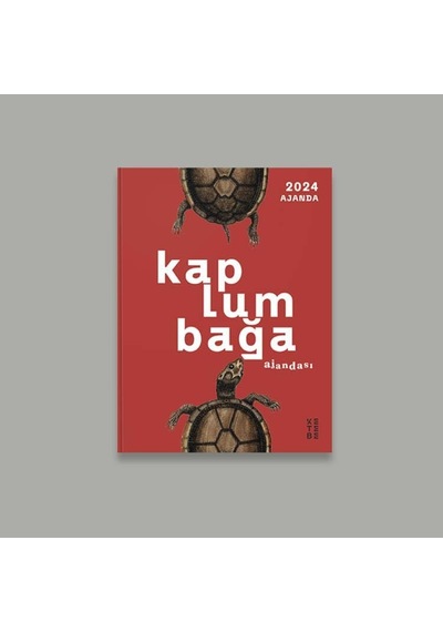 Kaplumbağa Ajandası 2024 Çok Renkli