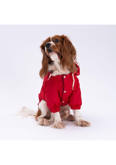 Pettrend Kırmızı Mont Köpek Mont Köpek Kıyafeti Köpek Yağmurluğu