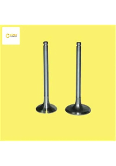 Emme Egzoz Subap Takım Polo-golf4-5-jetta-passat-tıguan Ahw-bby-bky-bag-blf-blp-bmy-bcb-cava-caxa Güneş 036109601s