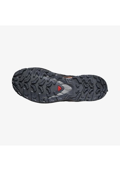 Salomon Xa Pro 3d V9 Gore-tex Erkek Ayakkabısı L47817500 Çok Renkli