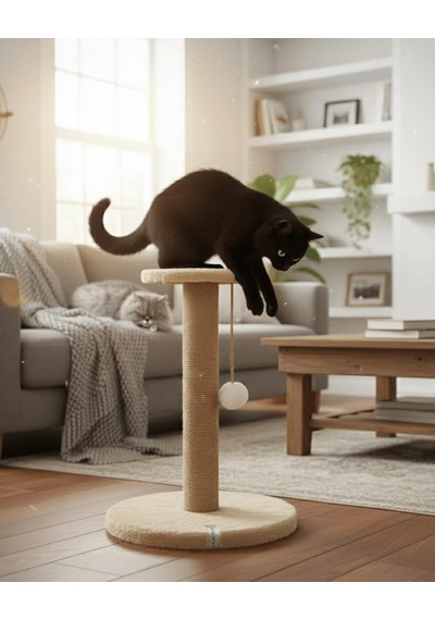 Pet Stepli Kedi Tırmalama Tahtası Bej