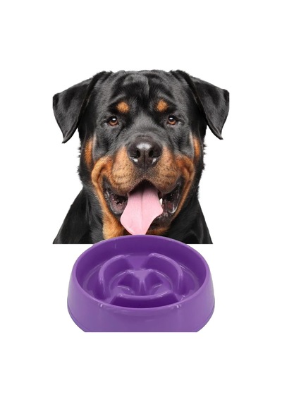 Evcil Hayvan Yavaş Mama Yeme Kabı Yavaş Besleyici Kedi Köpek Mama Kabı Büyük Boy 775 Ml. 1450