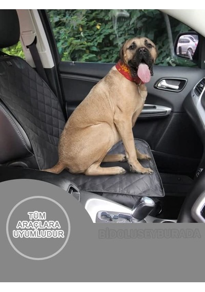 Markaflex Kedi Köpek Araba Koltuğu Kılıfı Araba Oto Araç Koltuk K