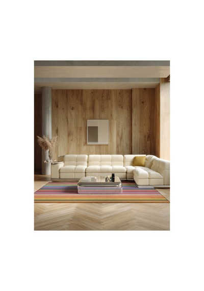Pantone 61 Çizgili Tasarım Renkli Halı Modern Oturma Odası Yolluk İnce Yazlık Ev Oda Salon Halısı Renkli B
