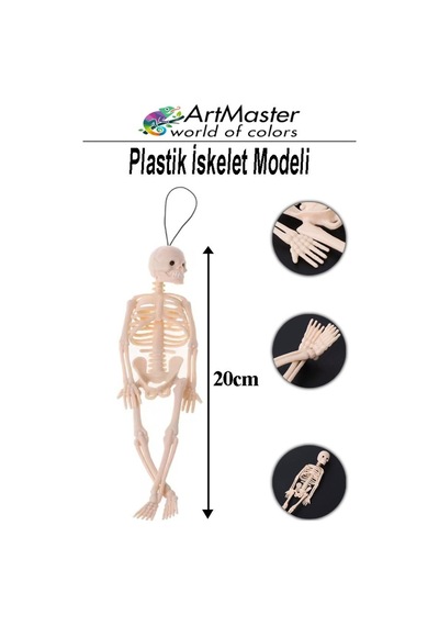 İskelet Modeli Plastik 20 Cm 1 Adet Silikon İnsan İskeleti Plastik İsket Modeli Silikon İskelet Deneyi Araba Süsü