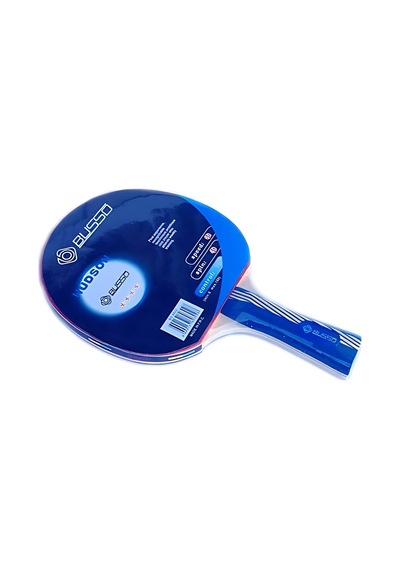 Busso Bs4802 Hudson 4 Yıldız Masa Tenisi Raketi
