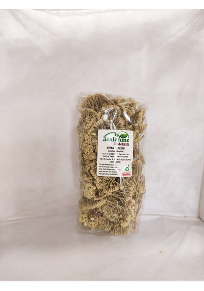 Beslenme Dedektifi Civan Perçemi 35 G