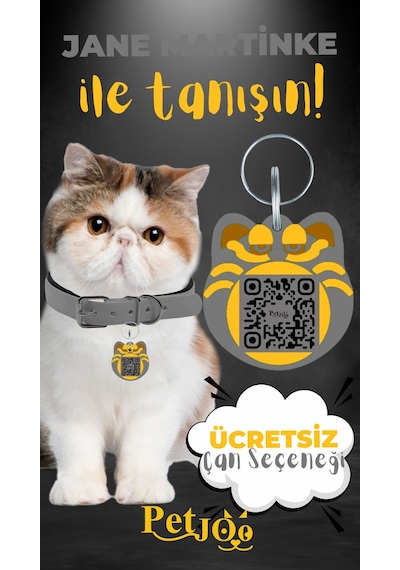 Petjoo 5.Jane Martinke Sarı-Gri Qr'lı Kedi Künyesi