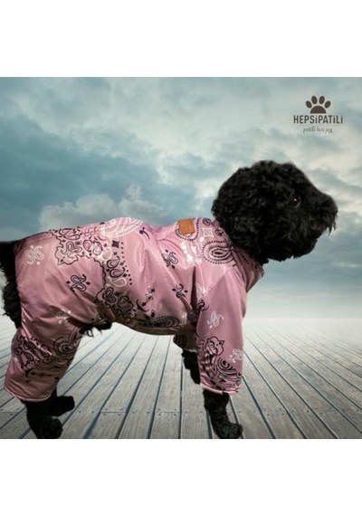 Alphadog Shawl Küçük Irk Kalın Köpek Tulum Yağmurluğu