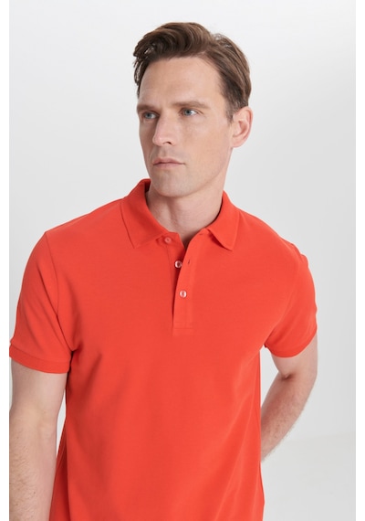 AC&Co / Altınyıldız Classics Erkek Nar Çiçeği Slim Fit Dar Kesim Polo Yaka %100 Pamuk Tişört 4A4820200001NCCXL Narçiçeği AC&Co / Altınyıldız Classics Erkek Nar Çiçeği Slim Fit Dar Kesim Polo Yaka %100 Pamuk Tişört 4A4820200001NCCXL Narçiçeği