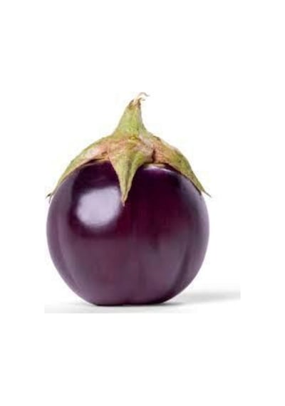 10 Adet Nadir Hollanda Iri Dev Patlıcan Tohumu