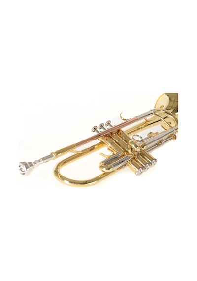 Roy Benson Tr-202 Trompet Sarı Pirinç Standart Bb Trompet