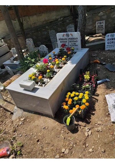Kabristan Mezarlık için 4 Lü Bitki Fidan Çiçek Seti N11.179