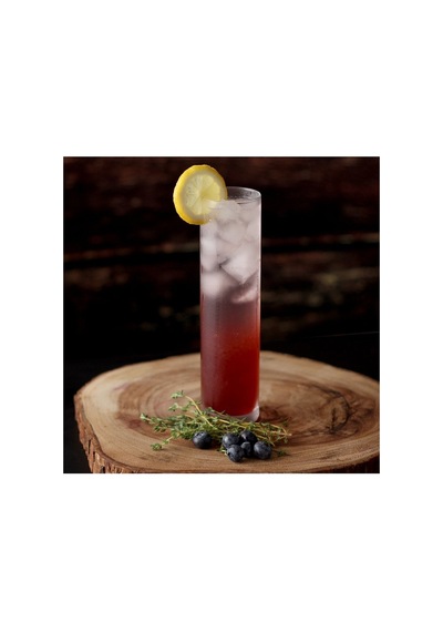 41716 Pub Uzun Meşrubat,kokteyl,sunum,long Drinks,collins Bardağı 370cc - 21,4 Cm - 6 Adet Şeffaf