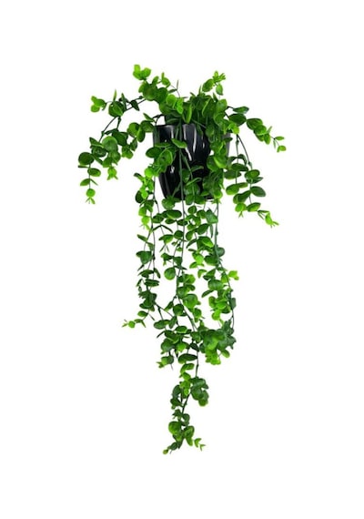 Yapay Çiçek Saksıda Sarkan Şimşir Okaliptus Yapay Sarmaşık 56cm Siyah Saksıda