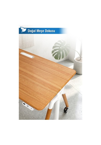 O-flex Oak Yükseklik Ayarlı Çalışma Masası Meşe