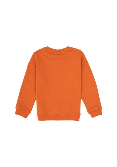 U.s. Polo Assn. Erkek Çocuk Bakır Sweatshirt 50313829-vr182 Bakır