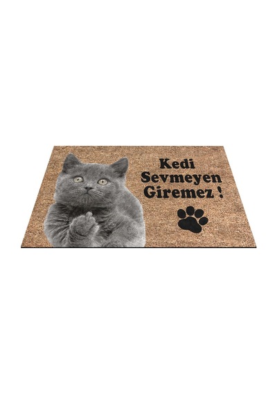 Dekoratif Kapı Önü Paspası - Kaymaz Taban 2 Çok Renkli