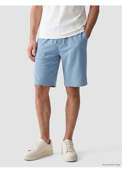Lcwaıkıkı Classic Mavi Regular Fit Erkek Şort